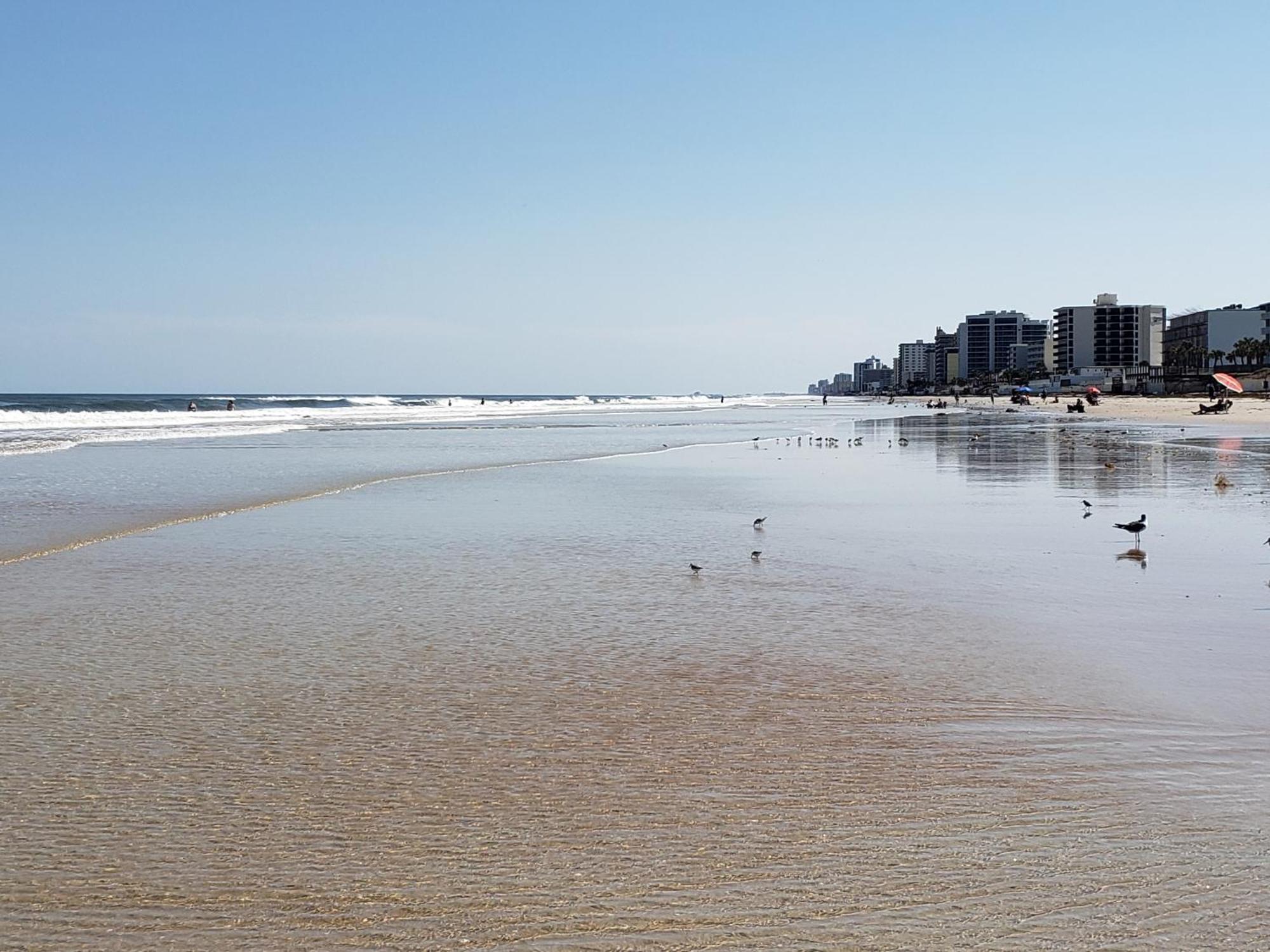 Beachside Bliss Ocean Views & Endless Fun Daytona Beach! Extérieur photo